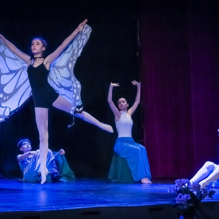 Arp Dance Parma Saggio 2024 011.jpg