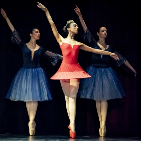 Arp Dance Parma Saggio 2024 013.jpg